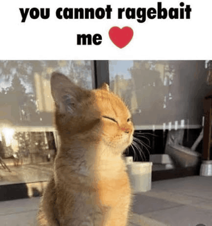 you cannot ragebait me